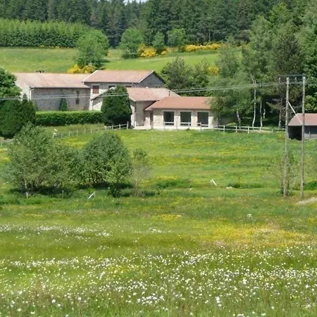 Ferme Equestre Avec Piscine, Tennis Prive Et D'hotes A - Fr-1-582-464 * Saint-Romain-Lachalm